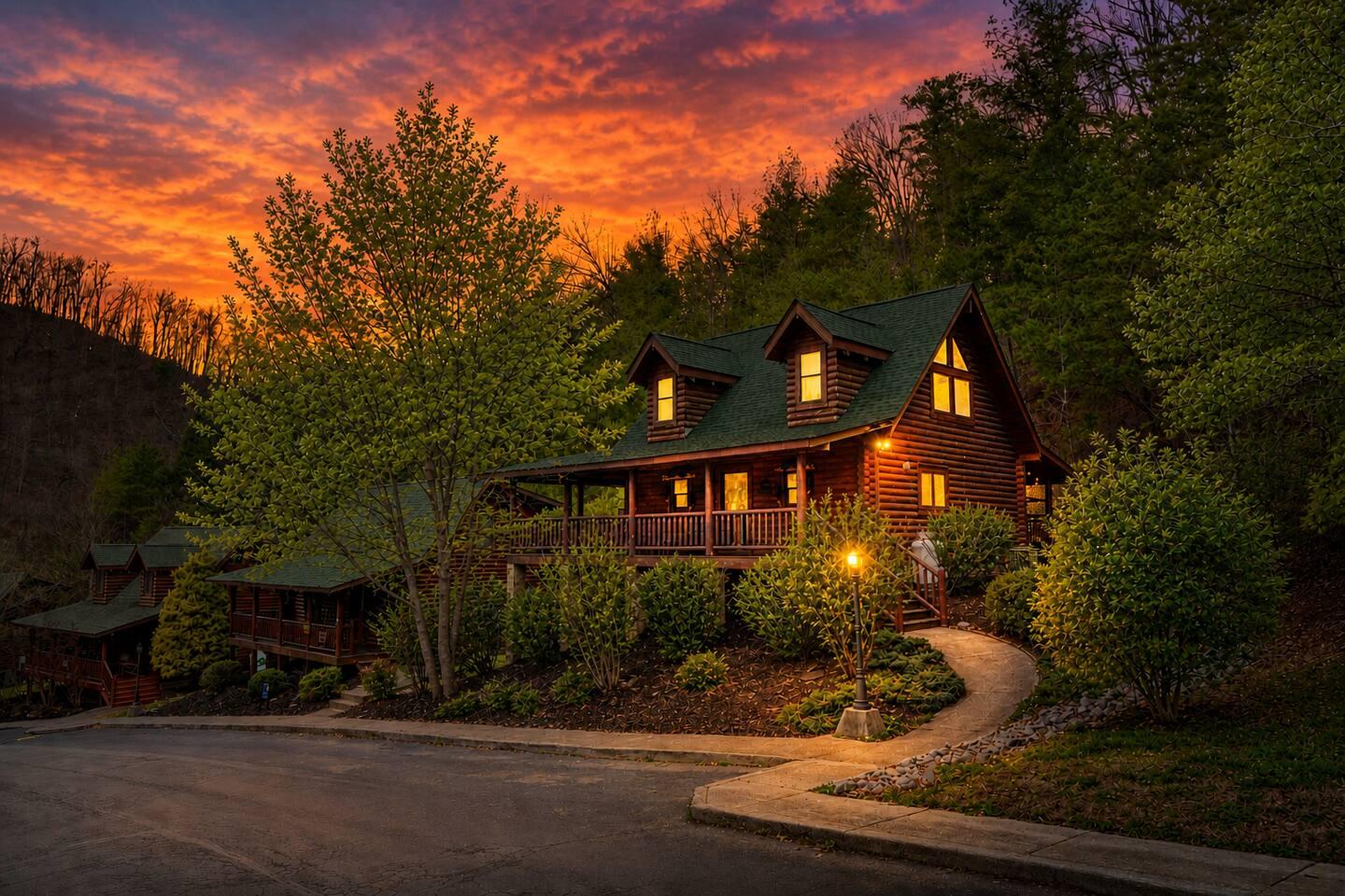 Midnight Laurel tucked peacefully in the Smoky Mountain woods